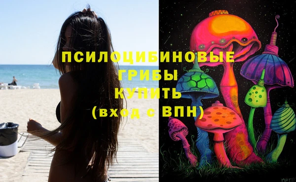 крисы Михайлов