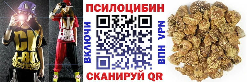 купить наркоту  Мышкин  Псилоцибиновые грибы GOLDEN TEACHER 