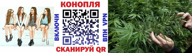 Шишки марихуана конопля  продажа наркотиков  Мышкин 
